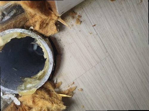 덕양구 내유동 하수구막힘 여름철 하수구 냄새 왜 반복될까, 막힘의 원인