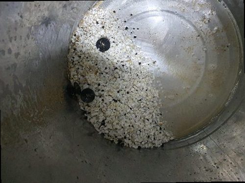 덕양구 하수구막힘 선유동 하수구막힘 배관 굳은 기름 주방 아래에서 찾은 막힘의 원인